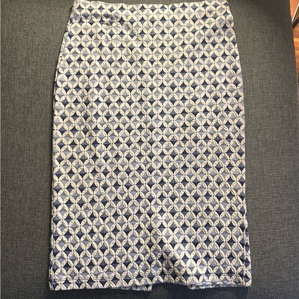 Zara Stretch High Waisted Skirt